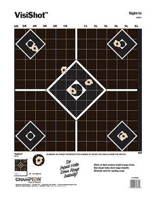 VISISHOT SIGHT-IN 10PK