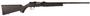  A17 Heavy 17 Hmr 22in 10 + 1 Black Semi Auto Rifle