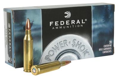  243 Win 100 Gr Sp Power- Shok 20 Rd