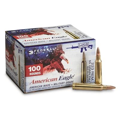 223REM 55GR FMJ 100 RD VP AE