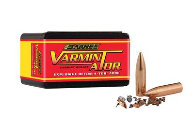  6mm .243 58 Gr Hp Fb