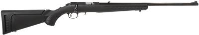 AMERICAN 22LR SYN 22 10RND