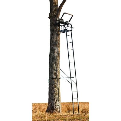 THE ODYSSEY  20FT LADDERSTAND