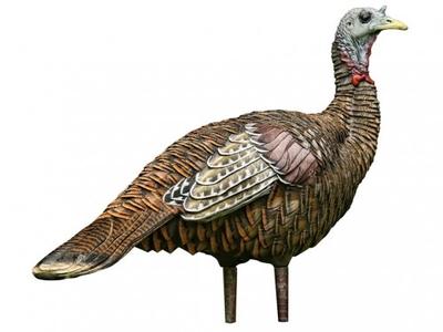  Lcd Jake Quarter Strut Turkey Decoy