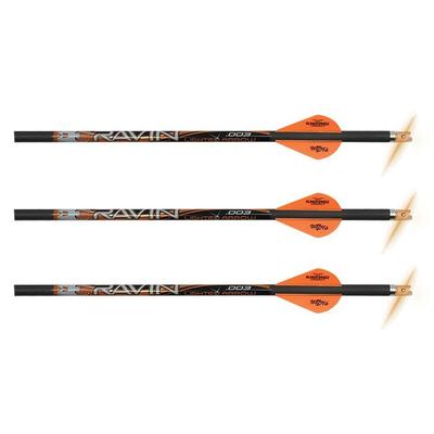 LIGHTED ARROWS .003 3 PACK