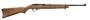  10/22 250 Anniv.22lr 18.50in 10 + 1 Wood Semi Auto Rifle