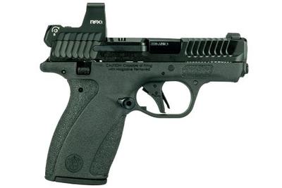 Bodyguard 2.0 380 ACP 2.75in Black TS W/RFX1 Semi Auto Pistol