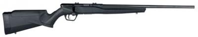 B22 FV 22LR 21in 10+1 Black Bolt Action Rifle